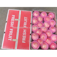 Best Supplier Top Quality Chinese Fresh Apple Red Fuji Apple